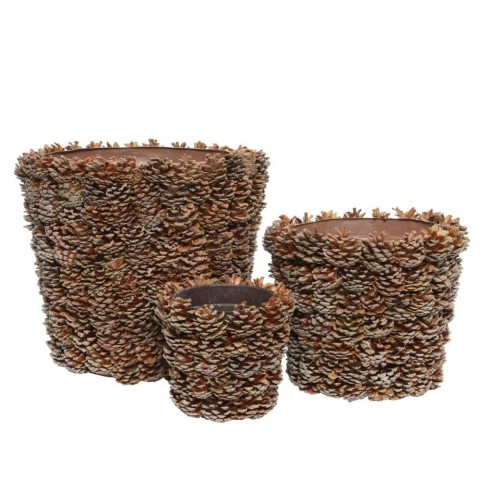 SET 3 CESTE CON PIGNE NATURAL